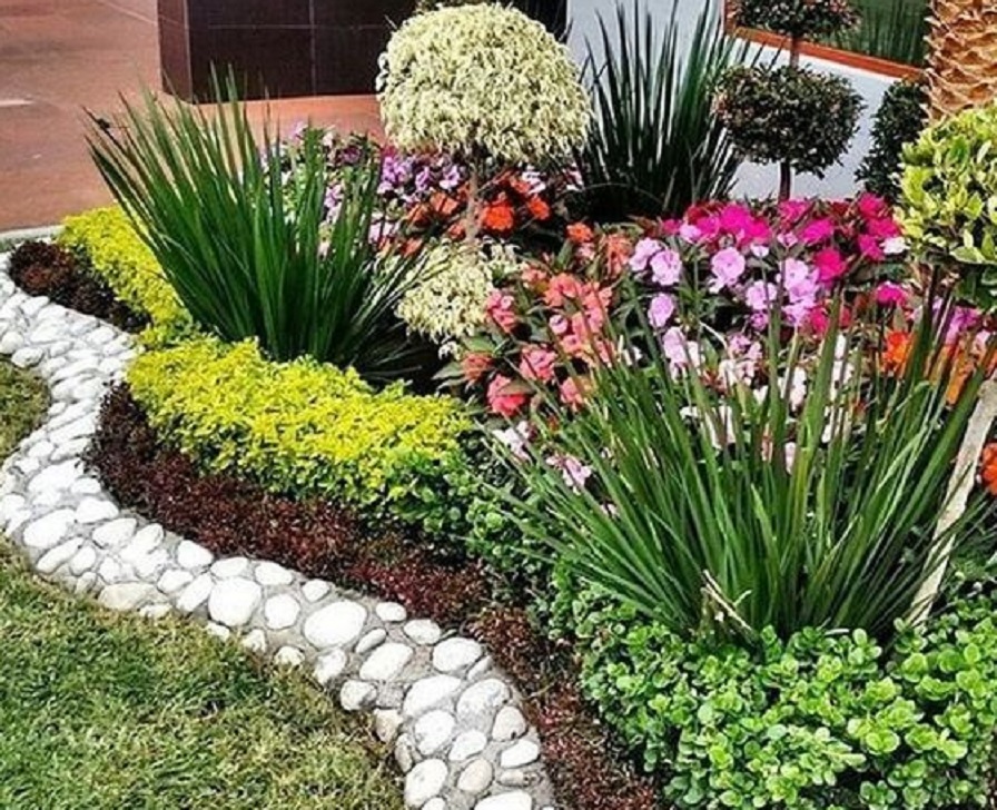 Tanaman Ideal di Depan Rumah: Mempercantik dan Membawa Energi Positif?