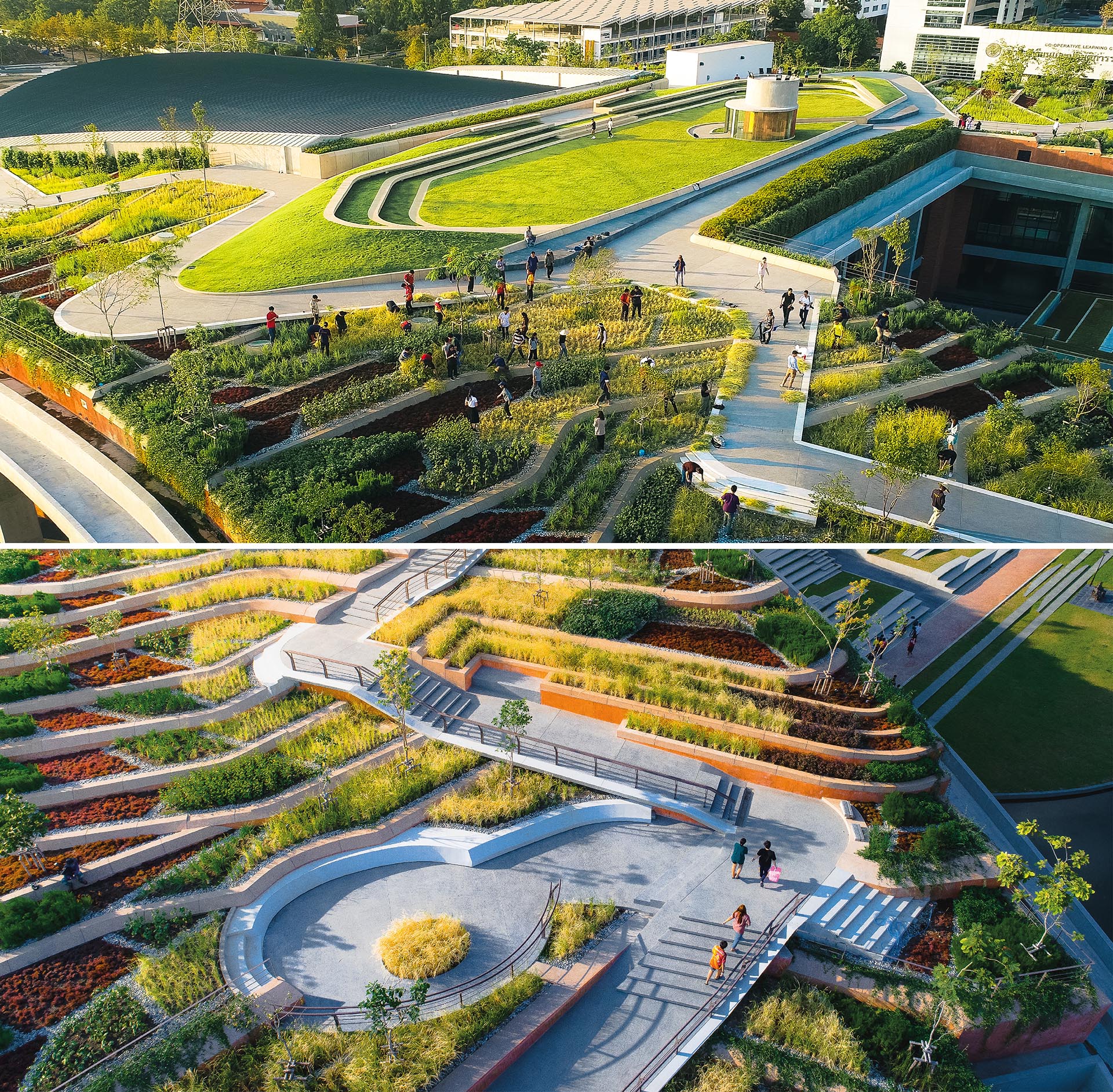 Lanskap Urban Farming: Menghijaukan Kota, Memberi Kehidupan