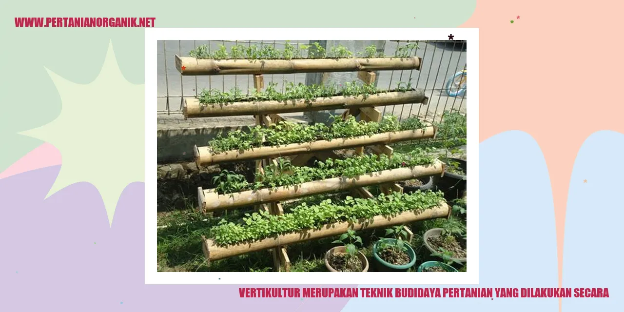 Vertikultur: Budidaya Pertanian Secara Vertikal