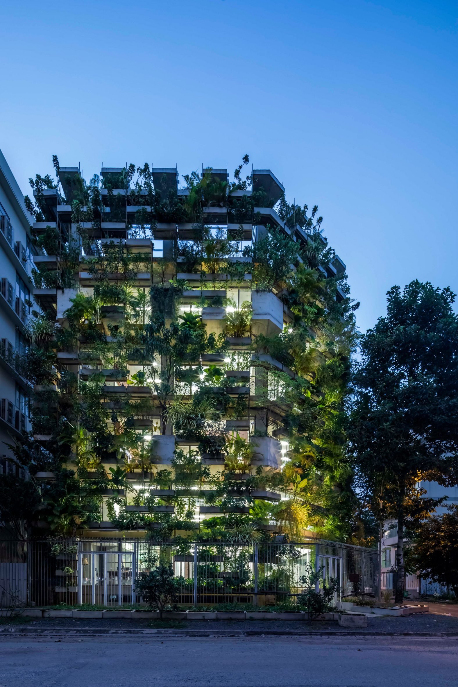 Urban Farming Office VTN: Solusi Hijau di Tengah Hiruk Pikuk Perkotaan?