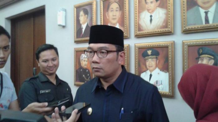Kebun Binatang Kota Langsa: Menjelajahi Keanekaragaman Hayati di Ujung Timur Aceh