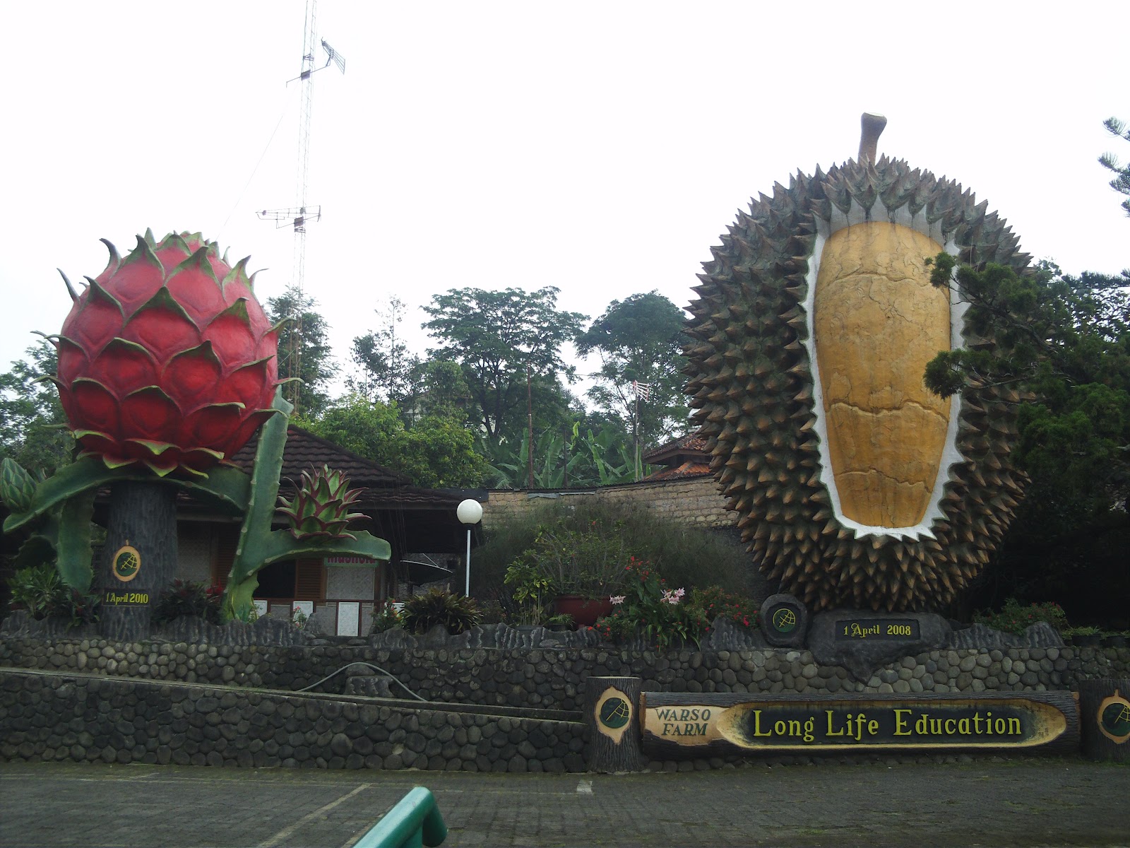 Kebun Durian di Kota Bekasi: Potensi Agrowisata yang Tersembunyi?