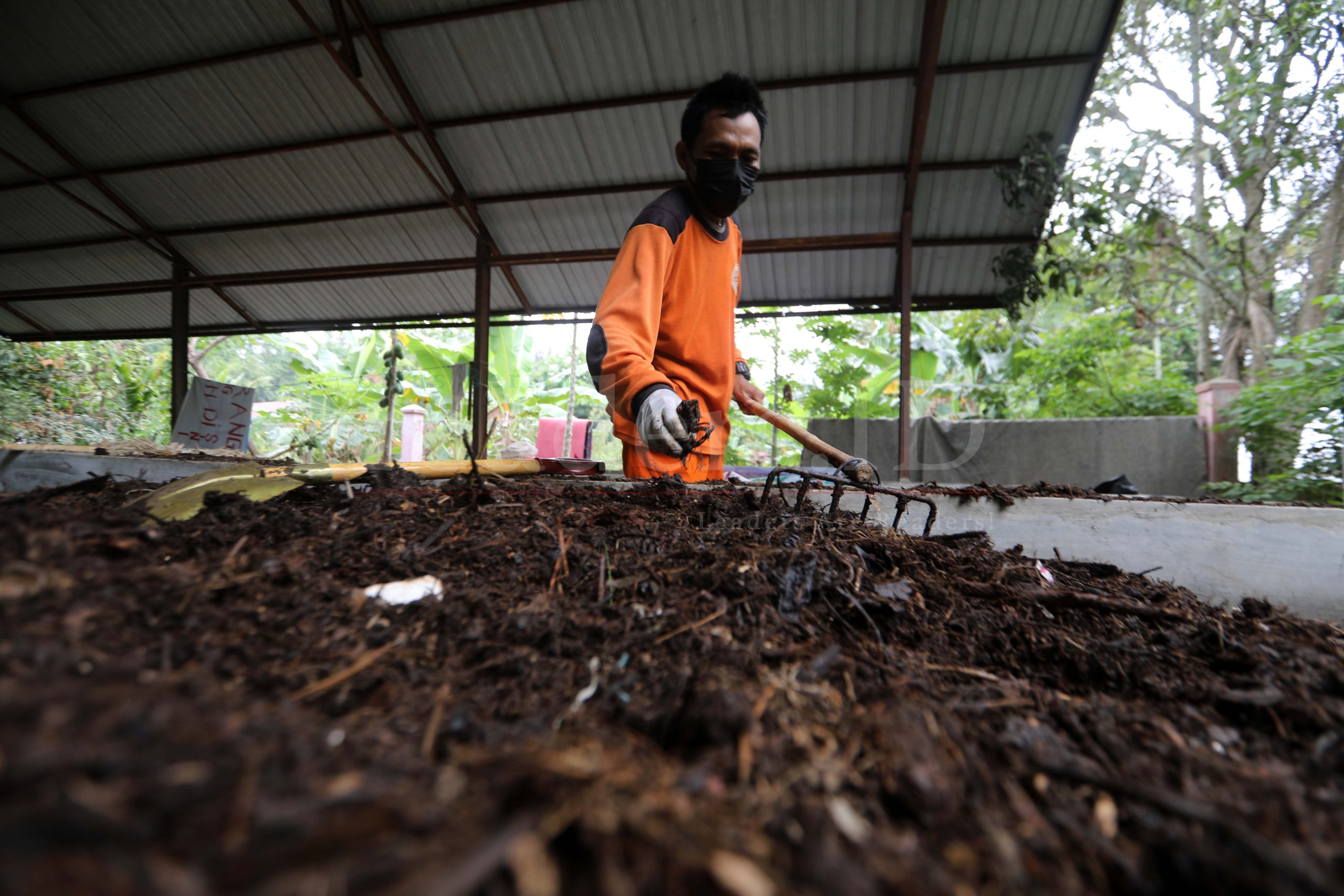 Sampah Organik Jadi Apa?